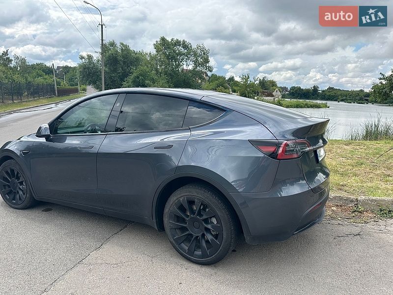 Позашляховик / Кросовер Tesla Model Y 2023 в Луцьку