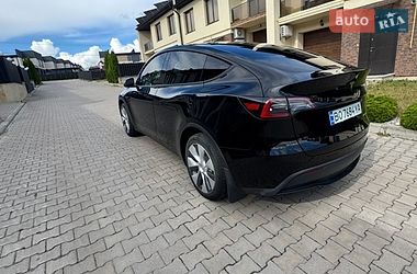 Позашляховик / Кросовер Tesla Model Y 2023 в Тернополі