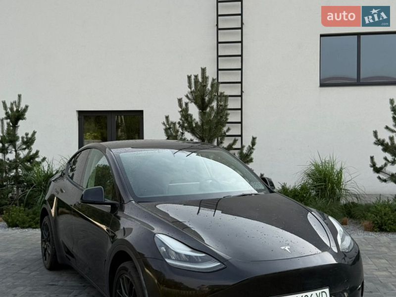 Позашляховик / Кросовер Tesla Model Y 2022 в Луцьку фото Позашляховик / Кросовер Tesla Model Y 2022 в Луцьку
