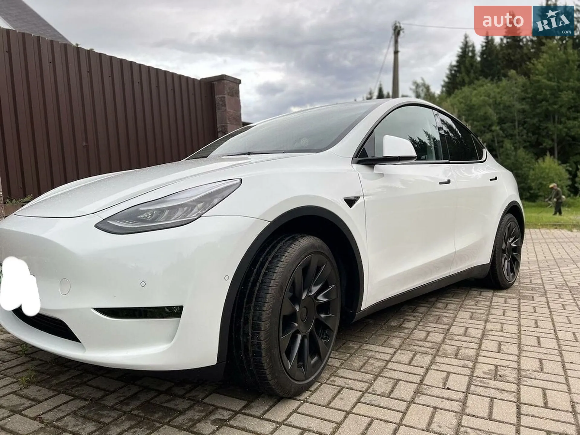 2023 Tesla Model Y - фото 1