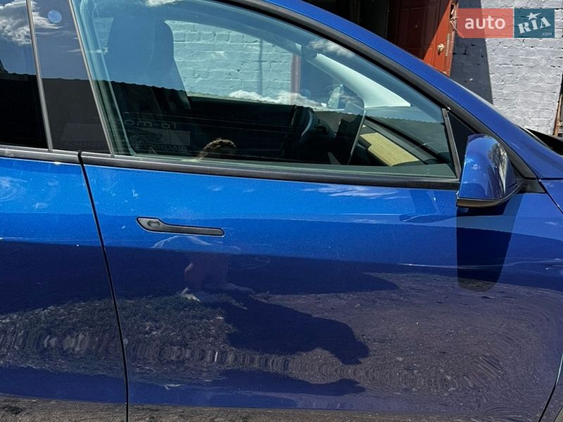 Позашляховик / Кросовер Tesla Model Y 2021 в Києві