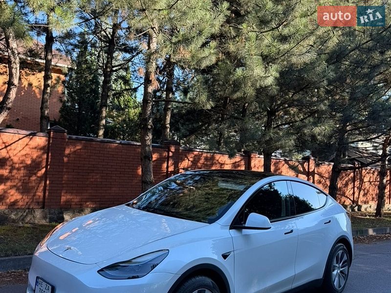 Позашляховик / Кросовер Tesla Model Y 2023 в Дніпрі