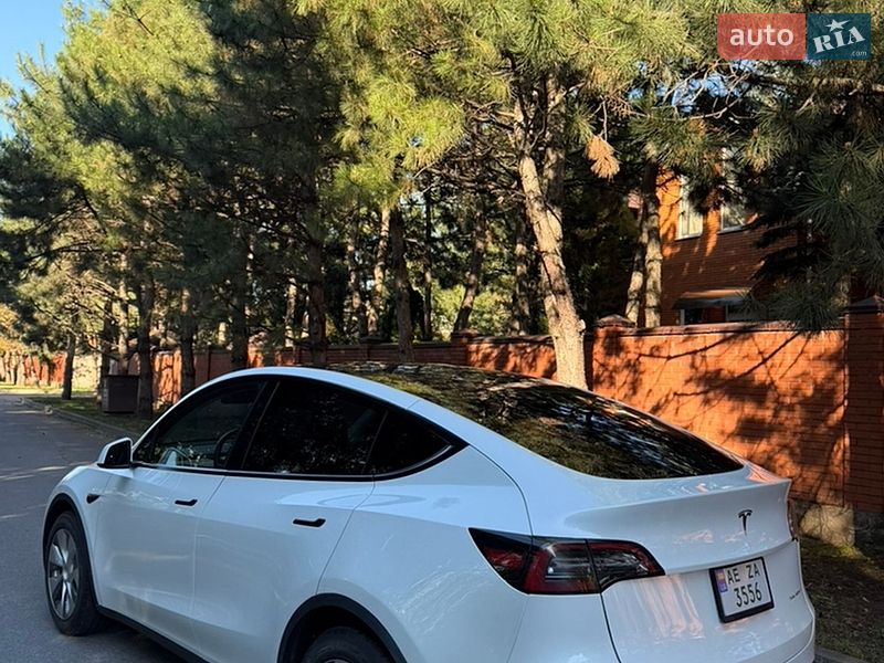 Внедорожник / Кроссовер Tesla Model Y 2023 в Днепре