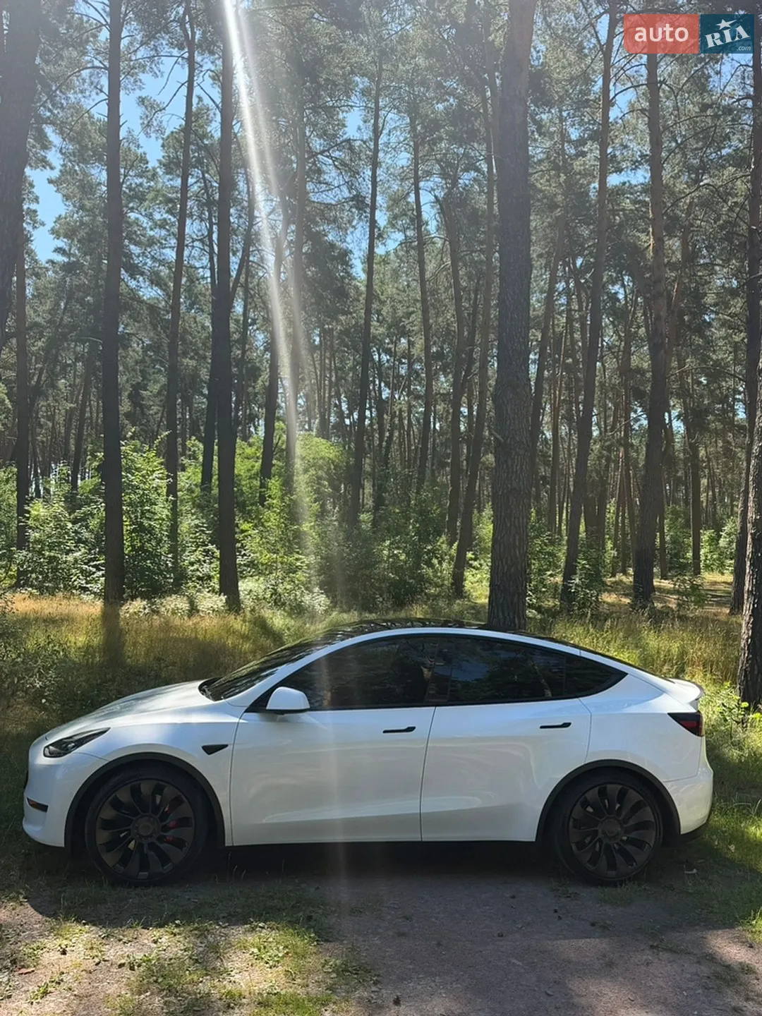 2022 Tesla Model Y - мініатюра 3