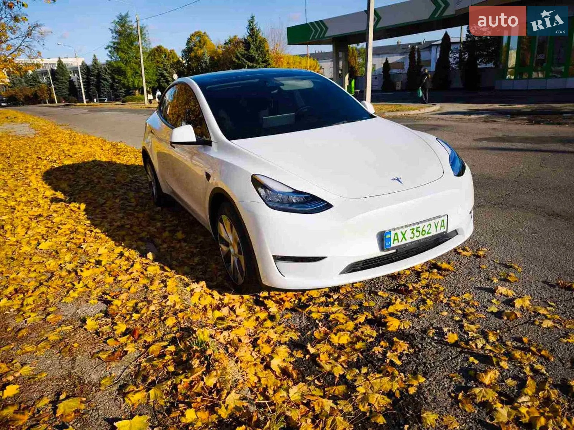 2023 Tesla Model Y - мініатюра 4