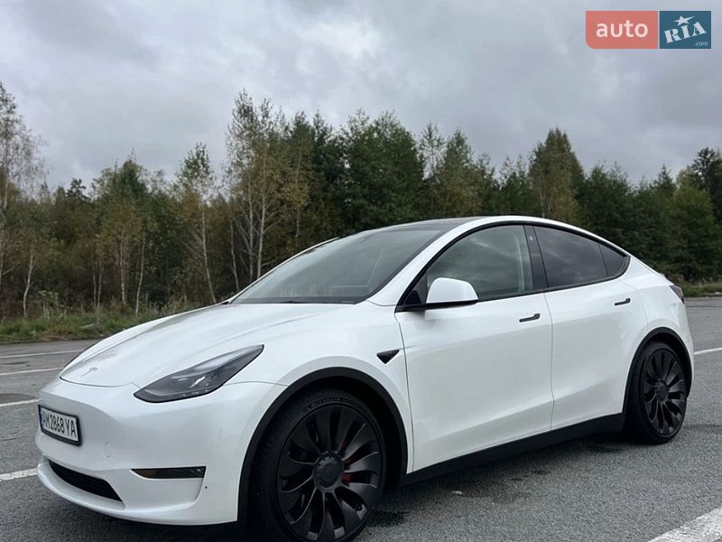Позашляховик / Кросовер Tesla Model Y 2023 в Чернівцях