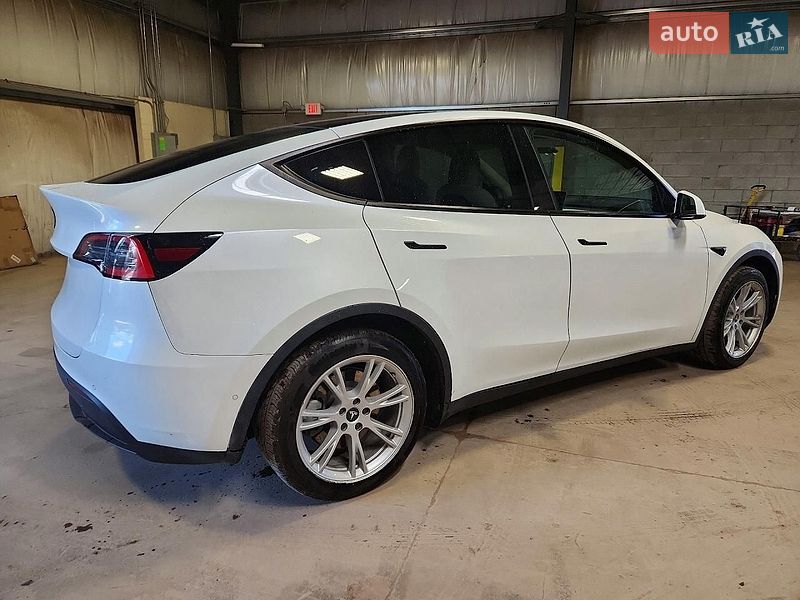 Позашляховик / Кросовер Tesla Model Y 2021 в Рівному