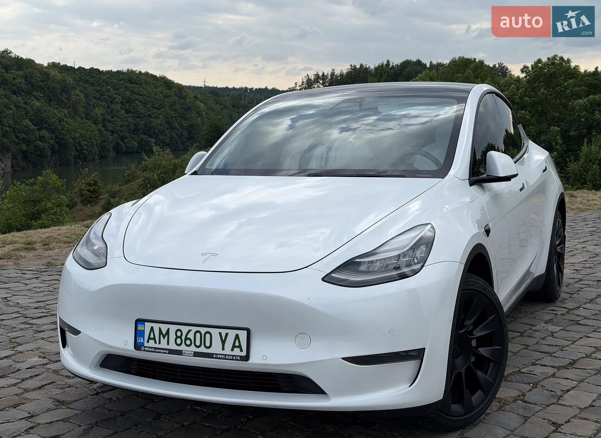 2020 Tesla Model Y - мініатюра 3