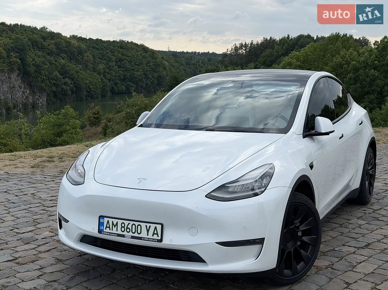 2020 Tesla Model Y - мініатюра 26