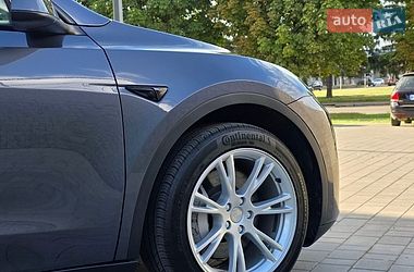 Внедорожник / Кроссовер Tesla Model Y 2023 в Луцке