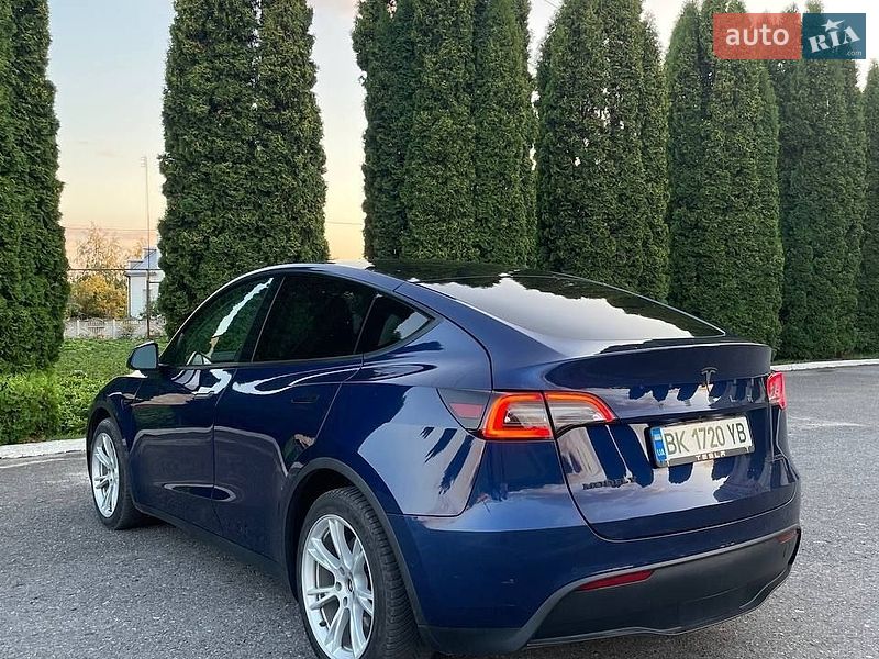 Позашляховик / Кросовер Tesla Model Y 2021 в Дубні