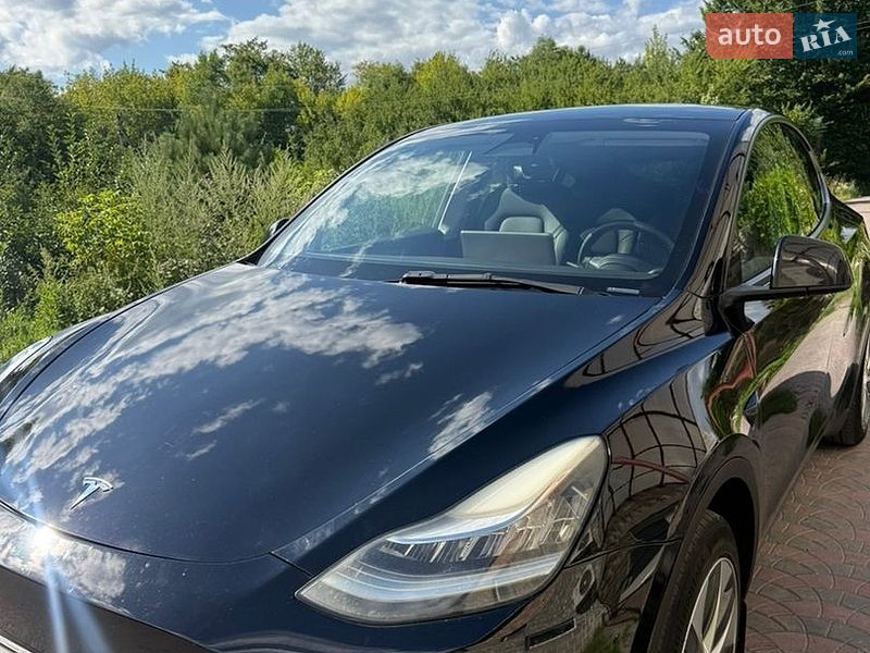 Внедорожник / Кроссовер Tesla Model Y 2023 в Буске фото Внедорожник / Кроссовер Tesla Model Y 2023 в Буске