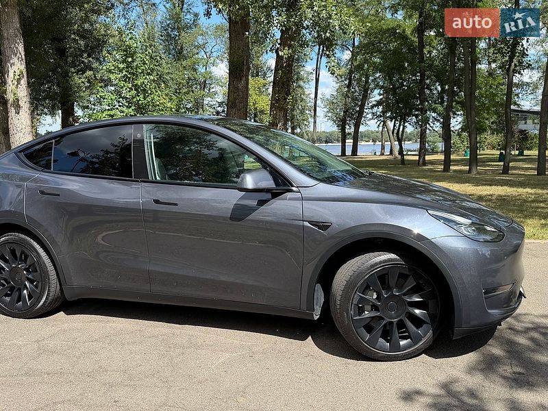 Позашляховик / Кросовер Tesla Model Y 2023 в Києві