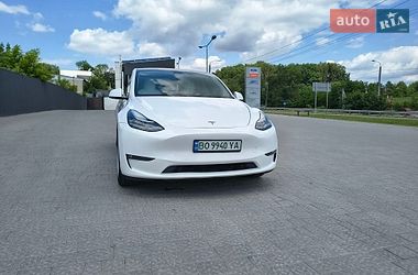 Позашляховик / Кросовер Tesla Model Y 2021 в Тернополі
