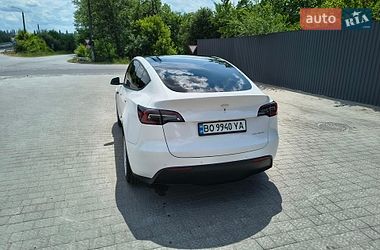 Позашляховик / Кросовер Tesla Model Y 2021 в Тернополі