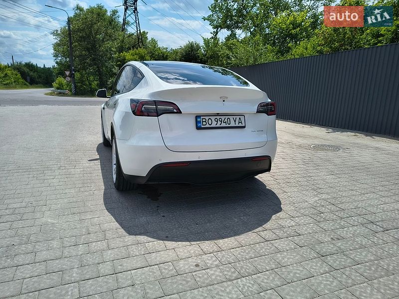 Позашляховик / Кросовер Tesla Model Y 2021 в Тернополі