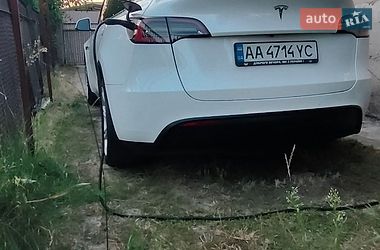 Позашляховик / Кросовер Tesla Model Y 2021 в Києві
