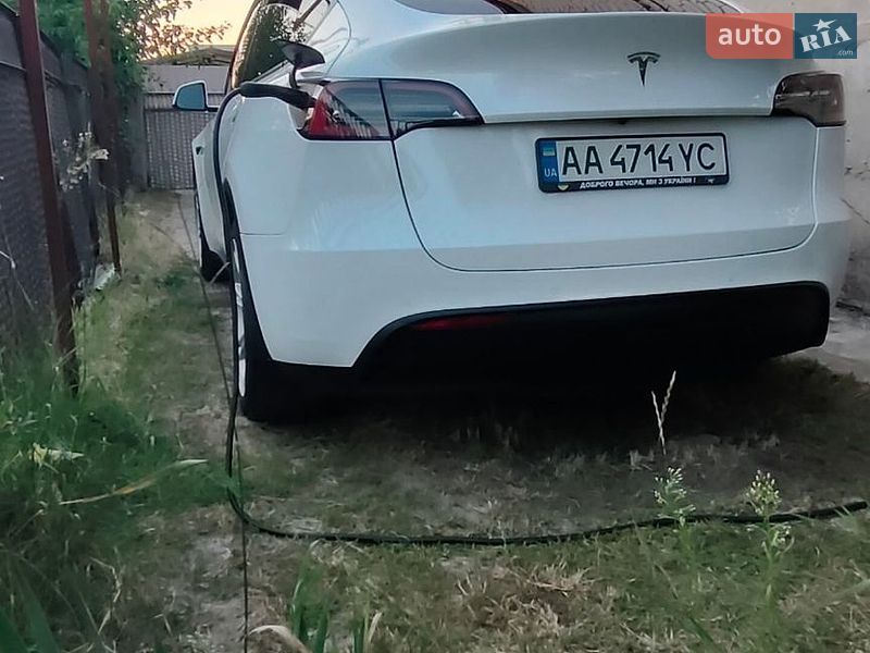 Позашляховик / Кросовер Tesla Model Y 2021 в Києві