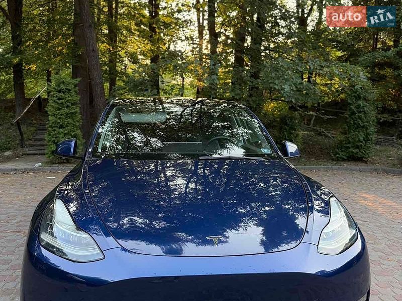 Позашляховик / Кросовер Tesla Model Y 2021 в Трускавці