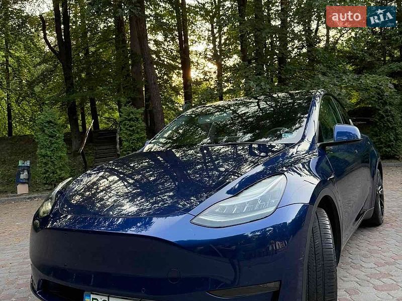 Позашляховик / Кросовер Tesla Model Y 2021 в Трускавці