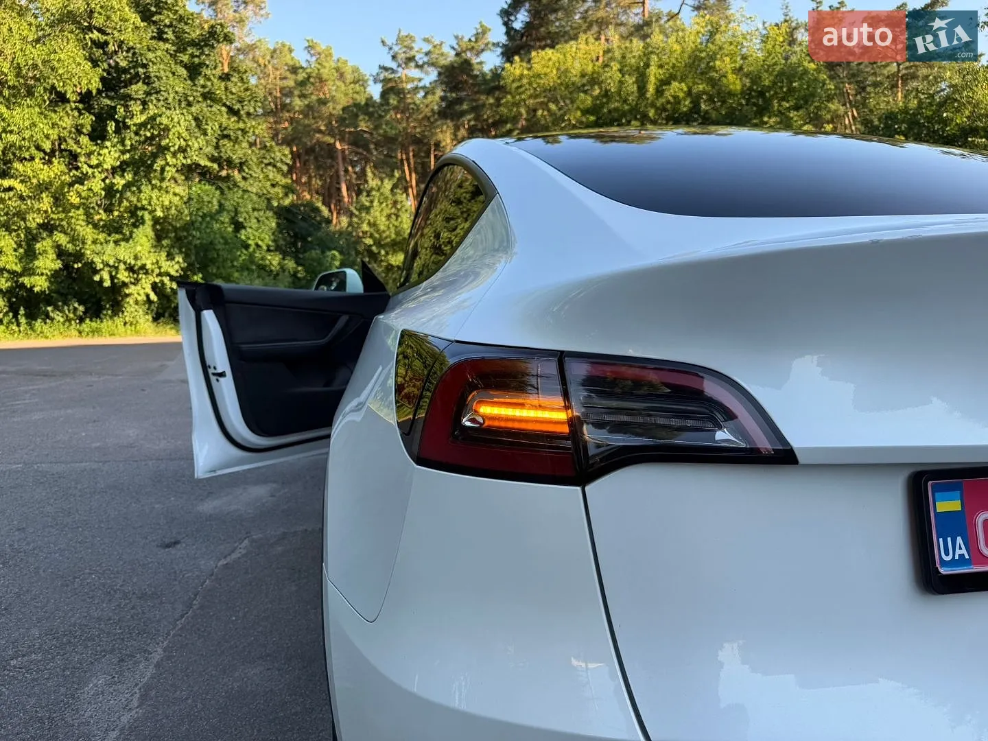 2020 Tesla Model Y - мініатюра 30