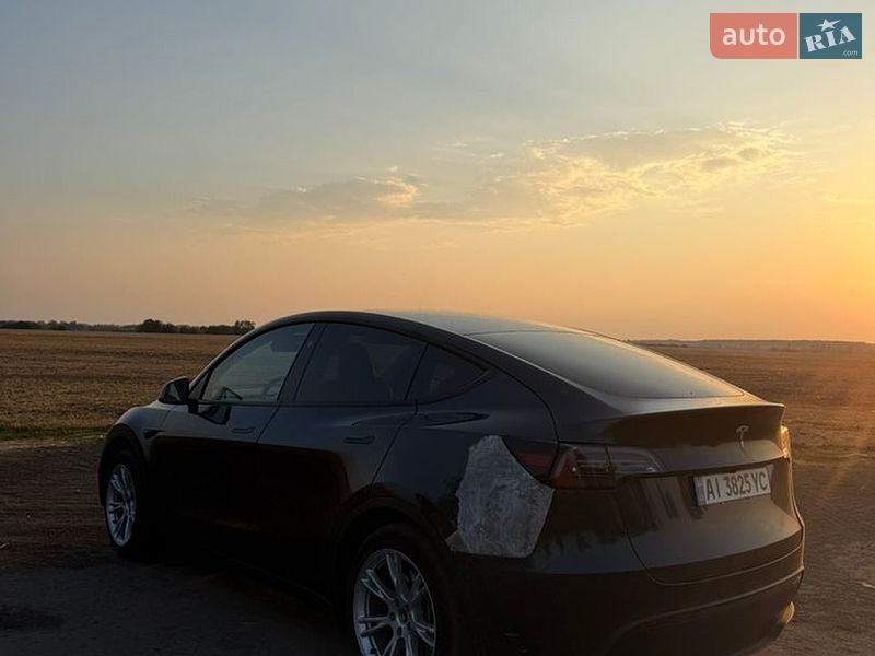 Позашляховик / Кросовер Tesla Model Y 2024 в Києві