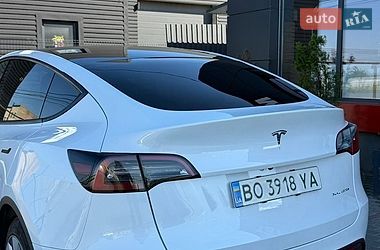 Позашляховик / Кросовер Tesla Model Y 2023 в Тернополі