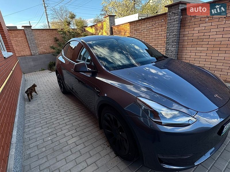 Внедорожник / Кроссовер Tesla Model Y 2023 в Гайсине фото 20 Внедорожник / Кроссовер Tesla Model Y 2023 в Гайсине