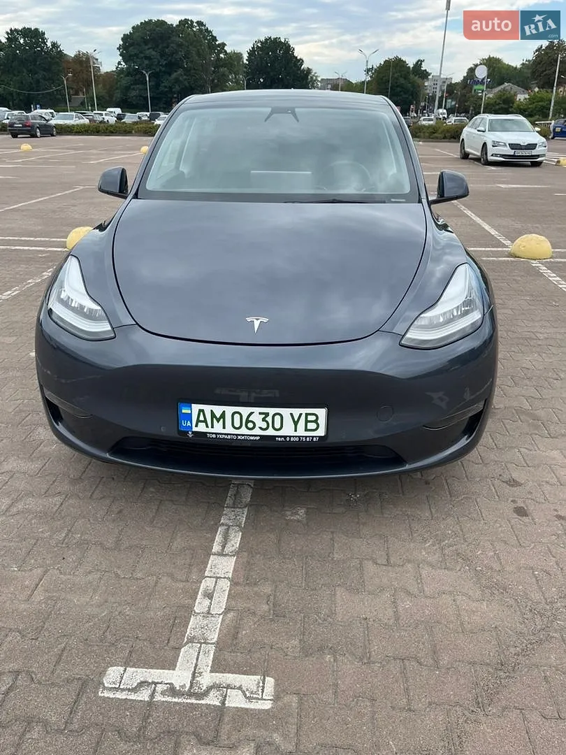 2021 Tesla Model Y - фото 1