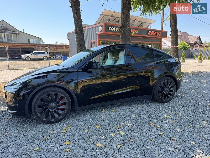 Внедорожник / Кроссовер Tesla Model Y 2022 в Черновцах