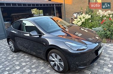 tesla model-y 2024 в Днепр (Днепропетровск) от профессионального продавца Alex