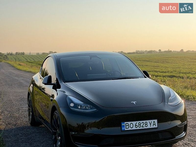 Внедорожник / Кроссовер Tesla Model Y 2023 в Тернополе