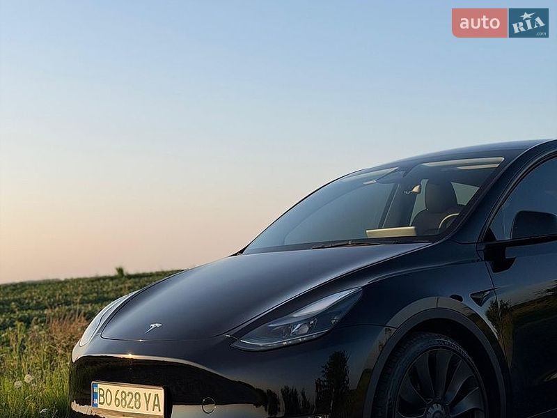 Внедорожник / Кроссовер Tesla Model Y 2023 в Тернополе