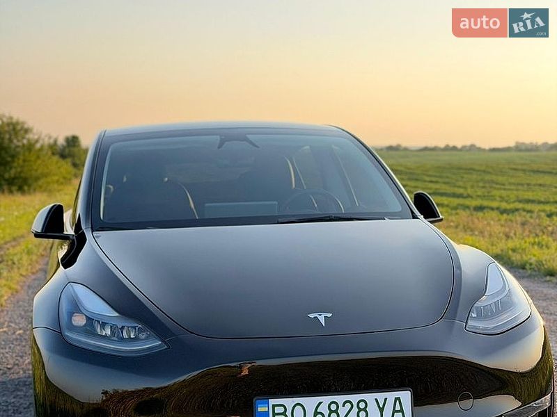 Внедорожник / Кроссовер Tesla Model Y 2023 в Тернополе