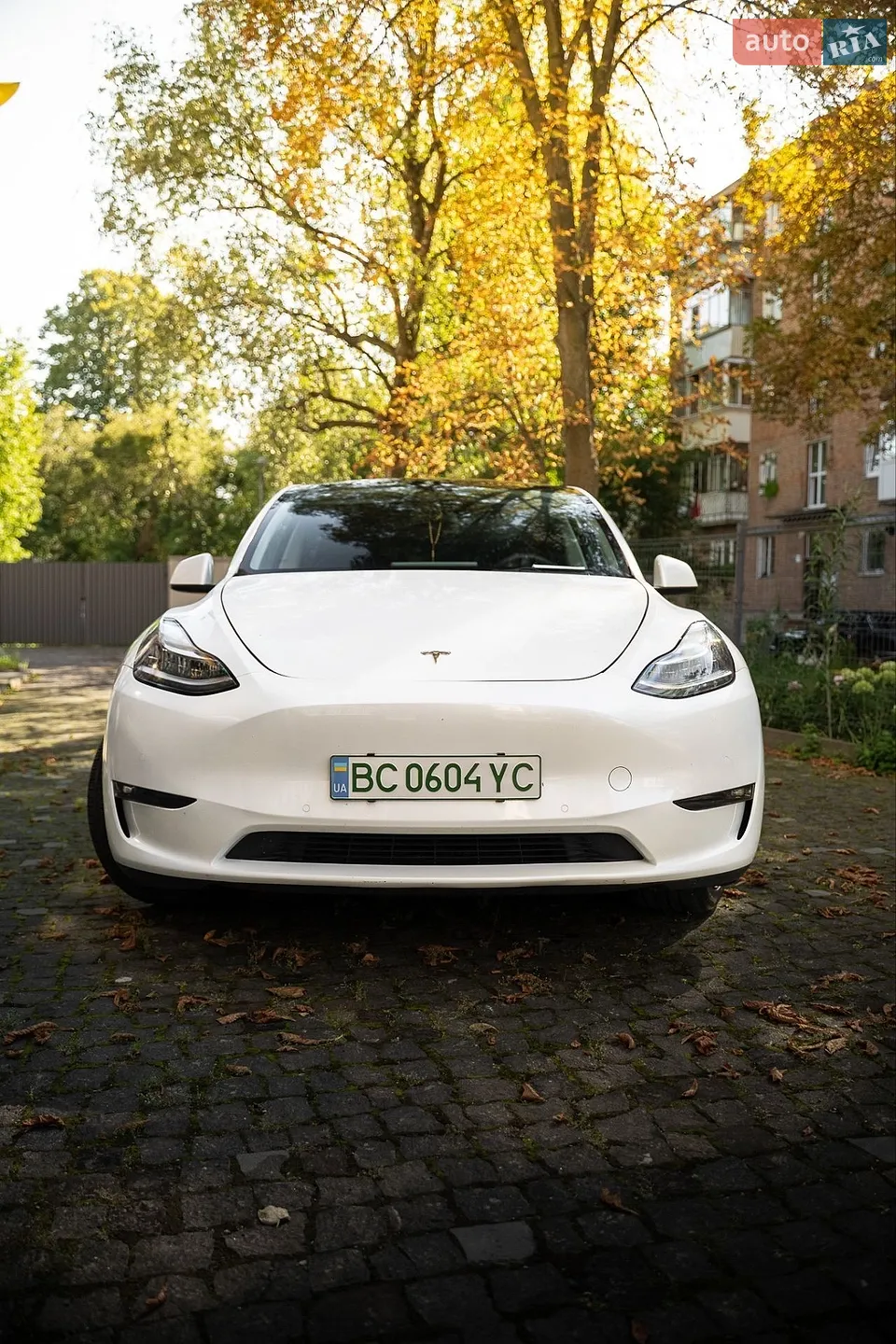 2022 Tesla Model Y - мініатюра 2