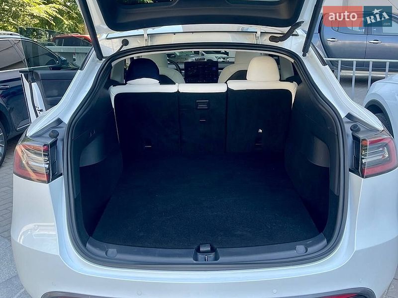 Позашляховик / Кросовер Tesla Model Y 2020 в Дніпрі