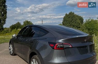 Позашляховик / Кросовер Tesla Model Y 2023 в Рівному