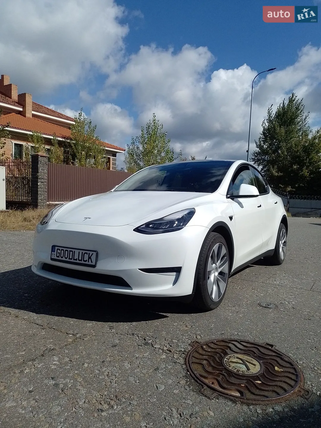 2023 Tesla Model Y - фото 1