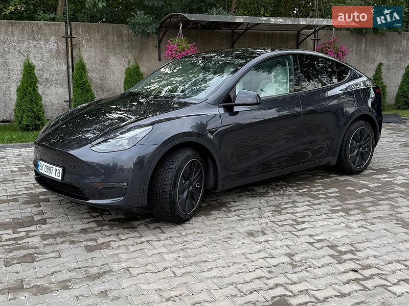 Позашляховик / Кросовер Tesla Model Y 2024 в Костопілі