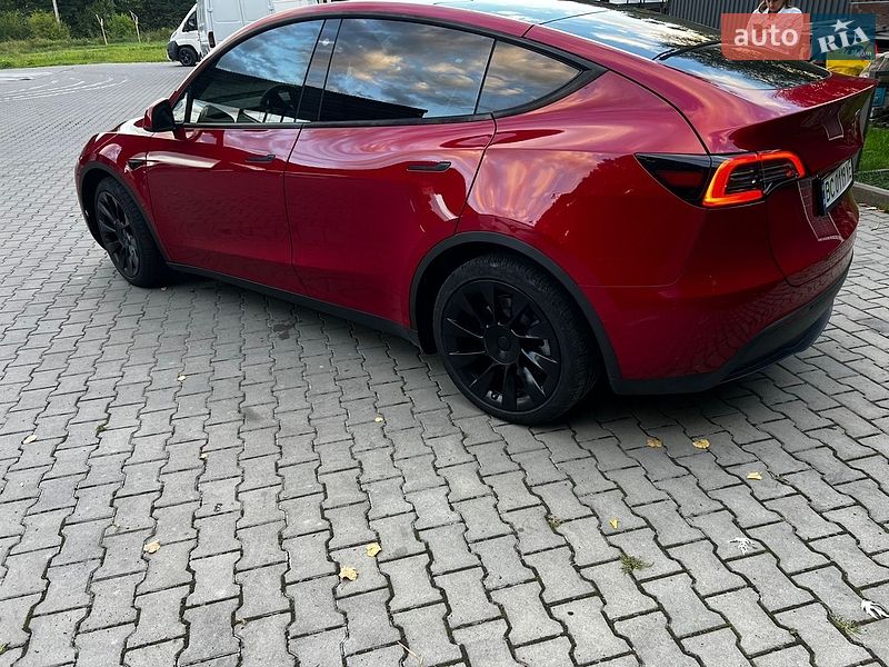 Внедорожник / Кроссовер Tesla Model Y 2021 в Трускавце