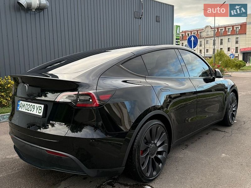 Внедорожник / Кроссовер Tesla Model Y 2024 в Житомире
