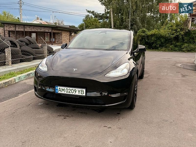 Внедорожник / Кроссовер Tesla Model Y 2024 в Житомире