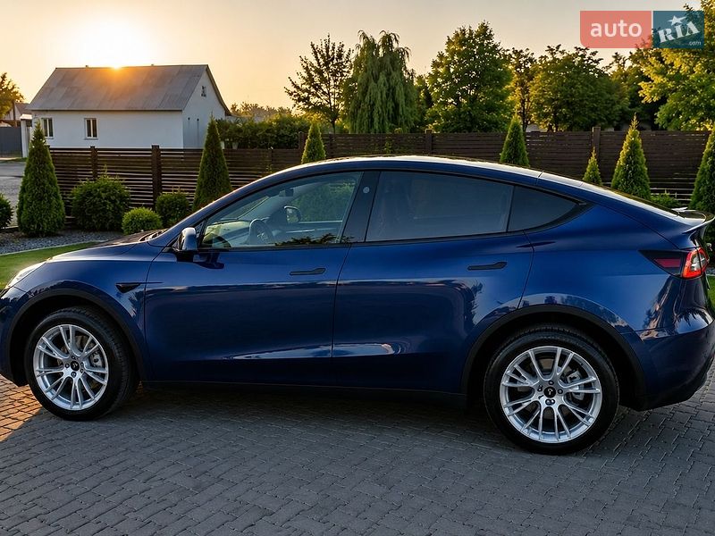 Позашляховик / Кросовер Tesla Model Y 2023 в Києві