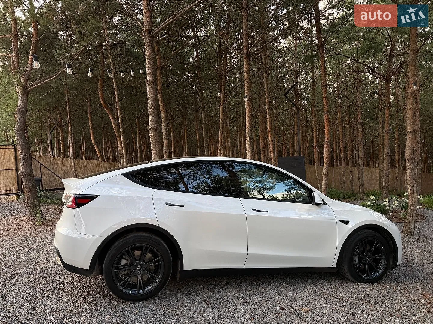 2022 Tesla Model Y - мініатюра 5