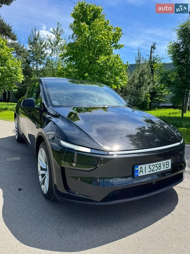2025 Tesla Model Y - мініатюра 2