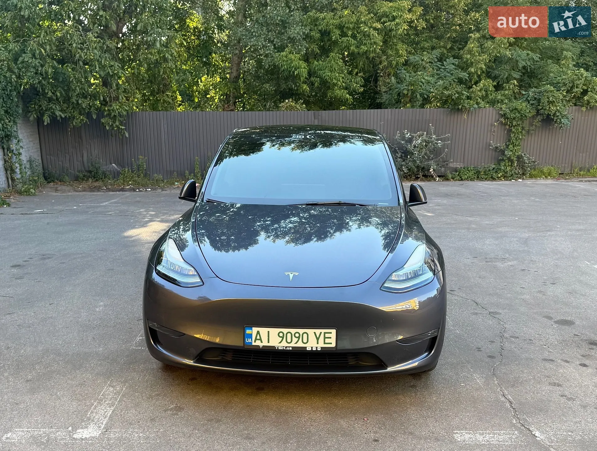 2023 Tesla Model Y - фото 1
