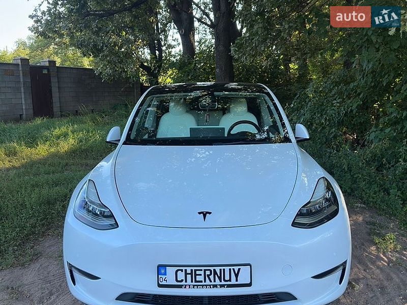 Позашляховик / Кросовер Tesla Model Y 2021 в Кривому Розі