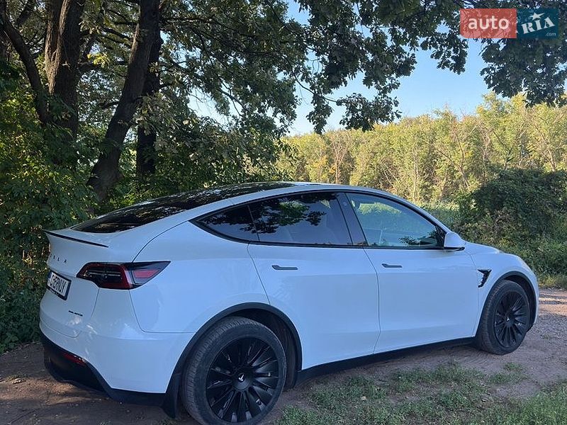Позашляховик / Кросовер Tesla Model Y 2021 в Кривому Розі