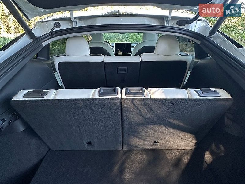 Внедорожник / Кроссовер Tesla Model Y 2021 в Кривом Роге фото 20 Внедорожник / Кроссовер Tesla Model Y 2021 в Кривом Роге