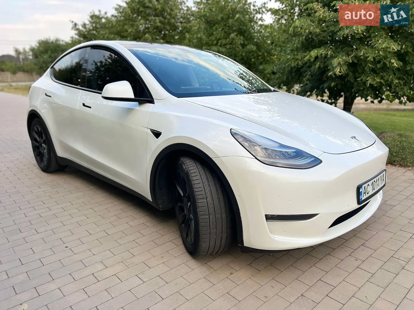 2020 Tesla Model Y - мініатюра 2